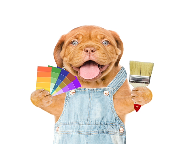 Funny Dog with paint samples and paint brush